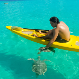 Kayak with the Green Turtles