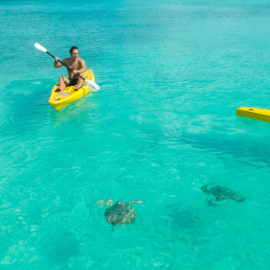 Kayaking with the turtles